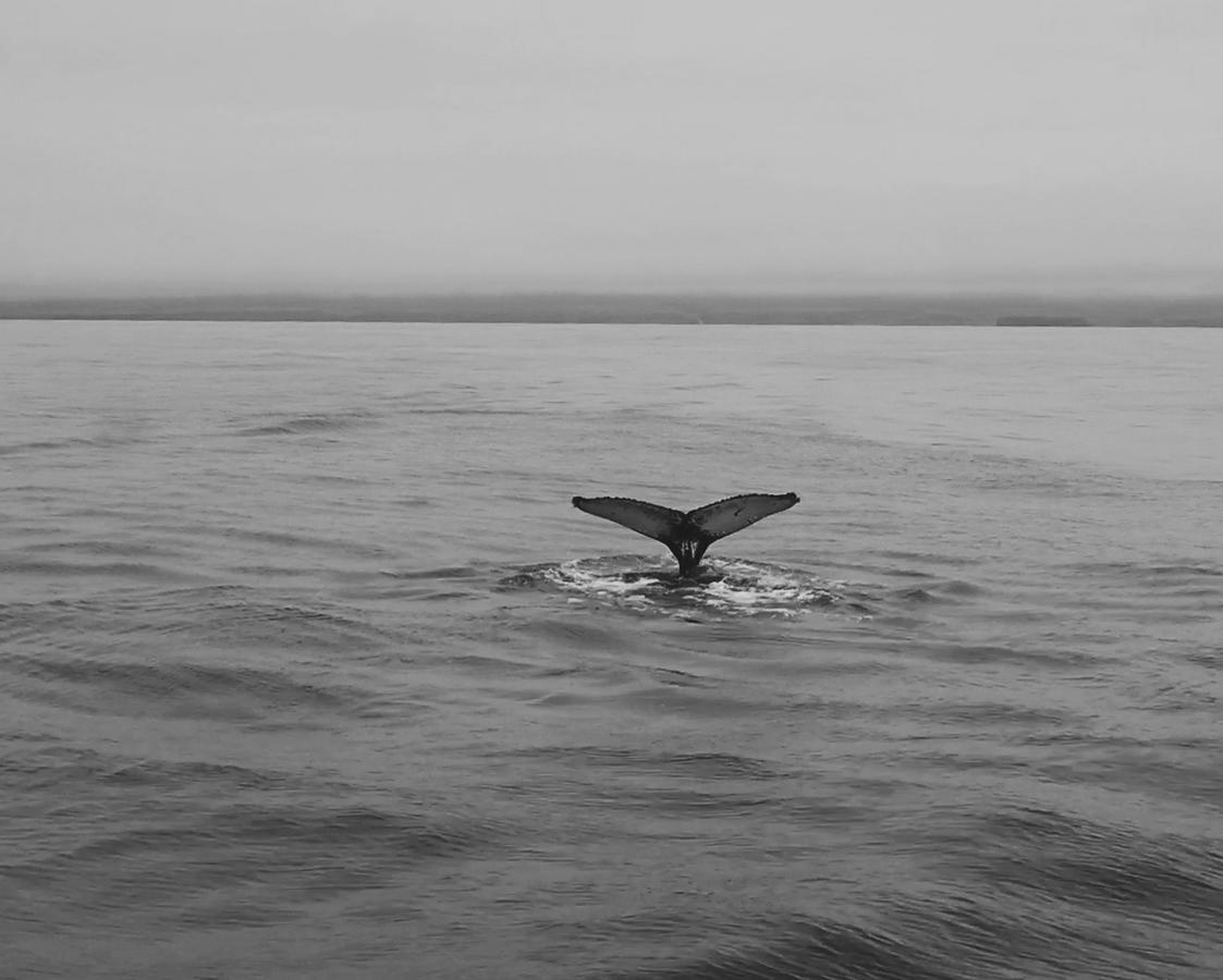 베스트만스바튼 게스트하우스 Athaldalur 외부 사진